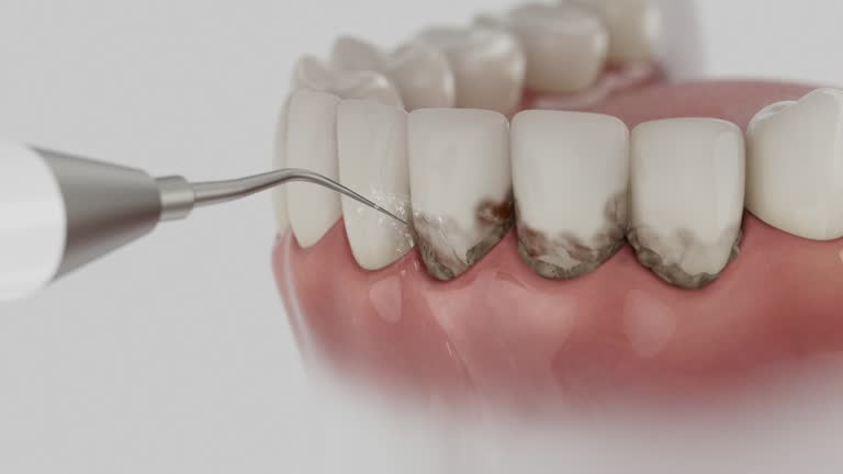 Reliable Dental contractor in Dawson County County, TX by Dentist Open Now